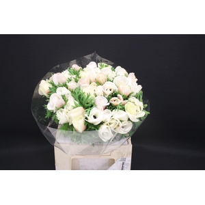 Anem Z Mistral White