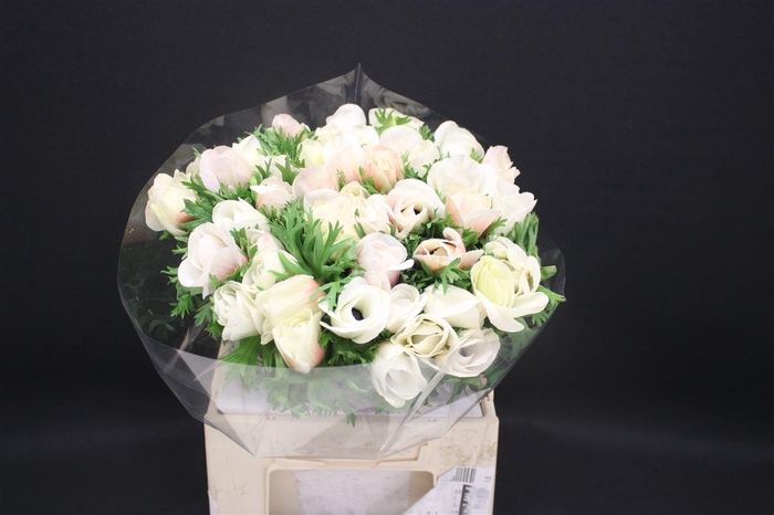 Anem Z Mistral White