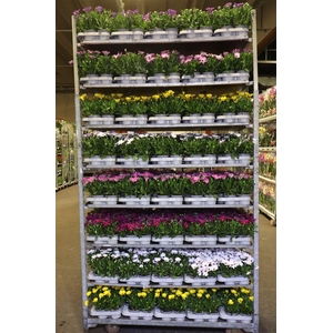 arr8 Osteo Mixk 1 Kleur Per Tray