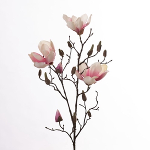 AF Magnolia L86cm Cream/Pink