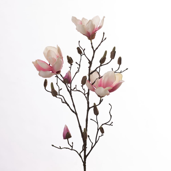 <h4>AF Magnolia L86cm Cream/Pink</h4>