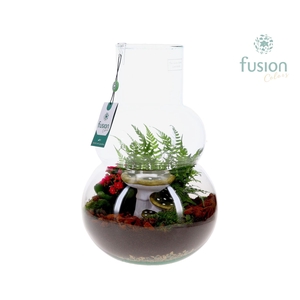 Green Bottle Olaf Large met Herfst arrangement