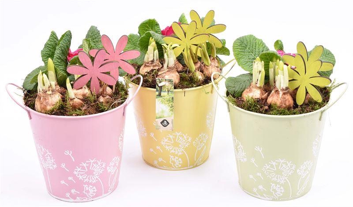 <h4>Zink pot bloemdecor k.mix 17cm</h4>