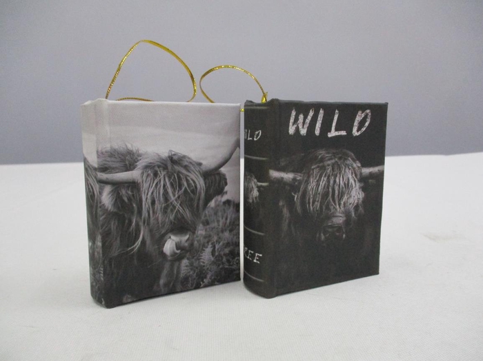 <h4>Books Hanging 9,5x7cm Buffalo</h4>