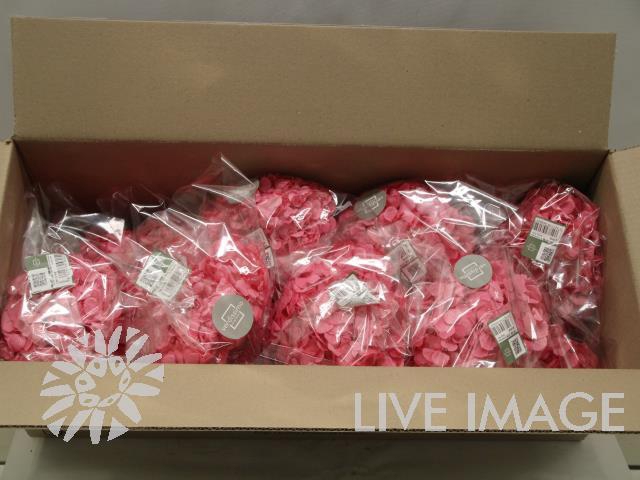 Dried hydrangea candy pink