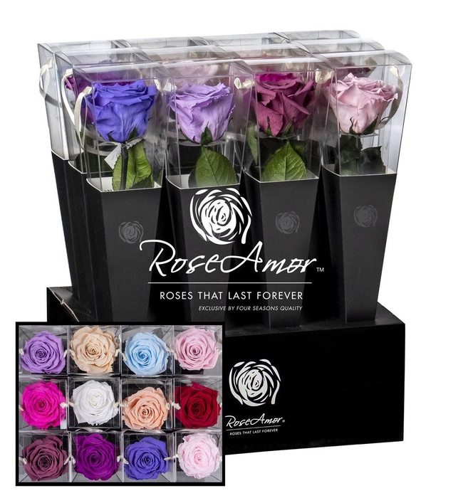 <h4>Lori 30cm Assorted Pastel</h4>