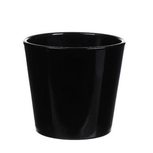 Promo Phalaenopsispot d13.5*12.5cm