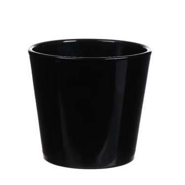 <h4>Promo Phalaenopsispot d13.5*12.5cm</h4>
