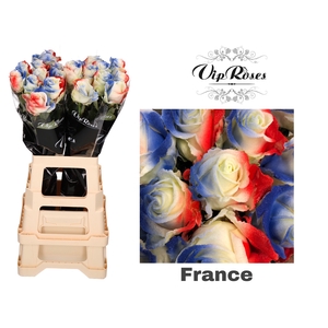 R Gr Flag France