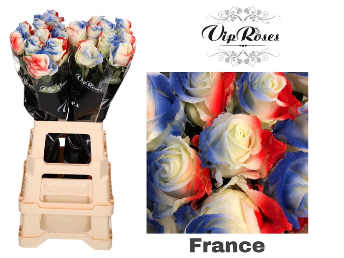 <h4>R Gr Flag France</h4>