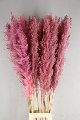 Df Pampas 130cm L.pink