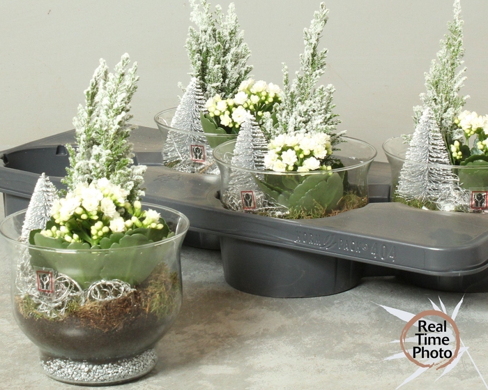 <h4>ARR KAMERPL</h4>