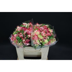 Anem Levante Rosa X100