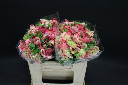 <h4>Anem Levante Rosa X100</h4>