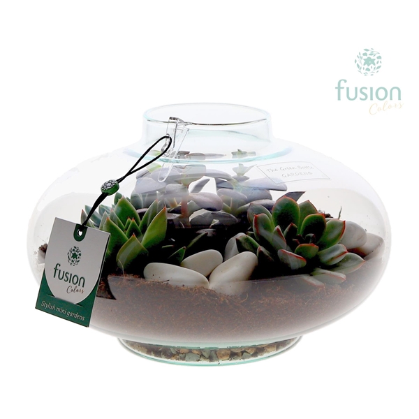 <h4>Green Bottle® Luna Large met Succulenten</h4>