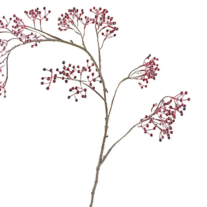 <h4>Corallo Berry Spray Burgundy LV330082BUR</h4>