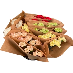 Bq Mono Carnation Colombia mix 5-er