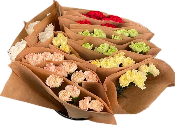 <h4>Bq Mono Carnation Colombia mix 5-er</h4>