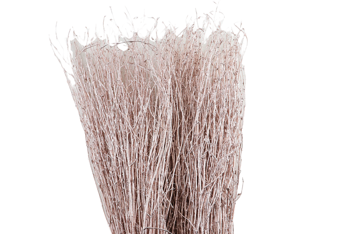 <h4>Berk Klb Champagne</h4>