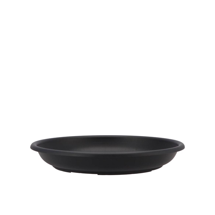 <h4>Floristry Plate 28cm P/10 Black</h4>