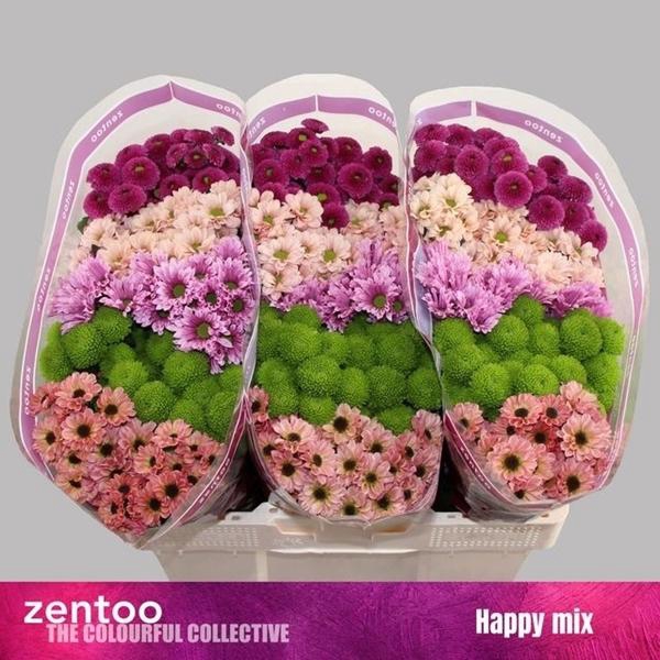 <h4>CHR SAN GEM HAPPY</h4>