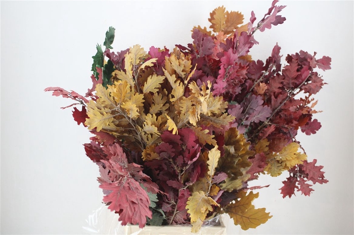 <h4>Pres Mini Oak Autumn P Bunch</h4>