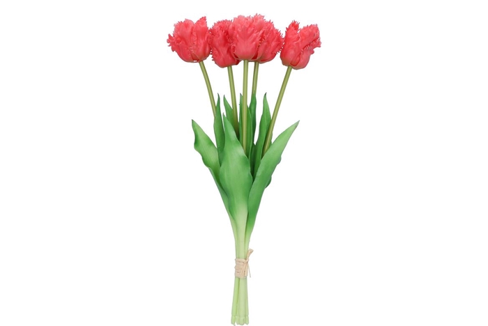 <h4>Silk Tulip Bouquet Papagayo 5x Fuchsia 39cm Nm</h4>