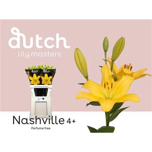 Li La Nashville Geel