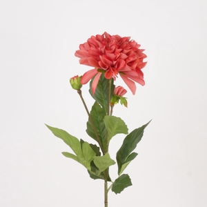 AF Dahlia Pompon x3 L63cm cor