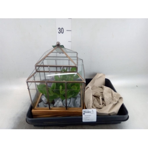 Arr. Succulents H%