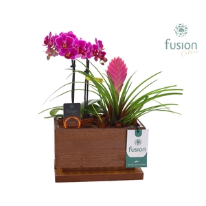 The Green Lighting Garden LED Small lang met Arrangement