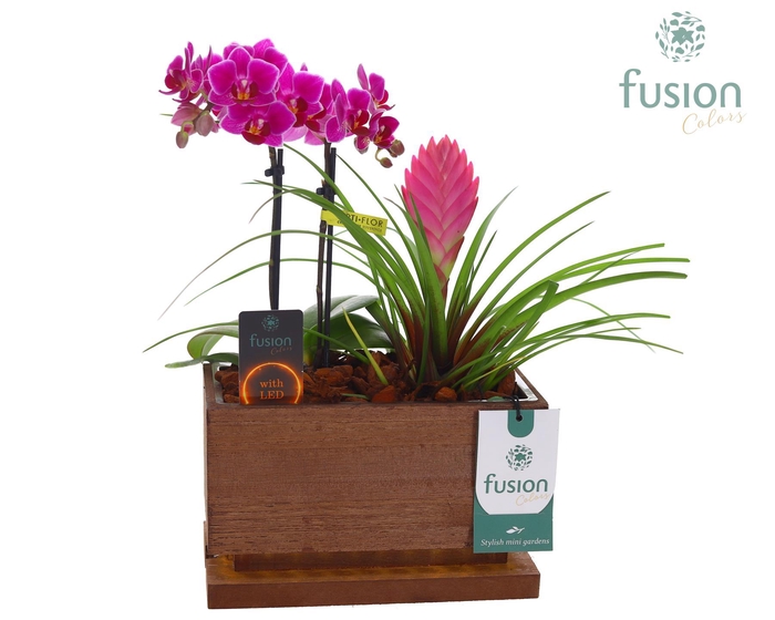 <h4>The Green Lighting Garden LED Small lang met Arrangement</h4>