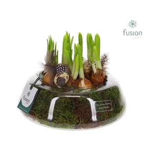 Green Bottle Christel Large met Pasen arrangement