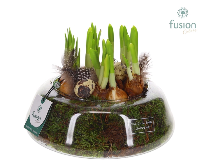 <h4>Green Bottle Christel Large met Pasen arrangement</h4>