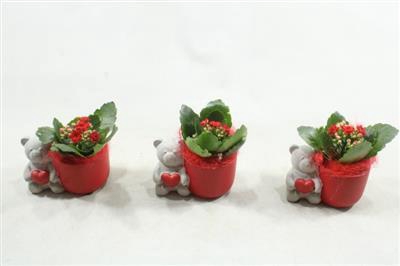 <h4>2275 KER ROOD BEER</h4>