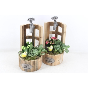 Arr2 Td - Houten Waterput - Roze/wit