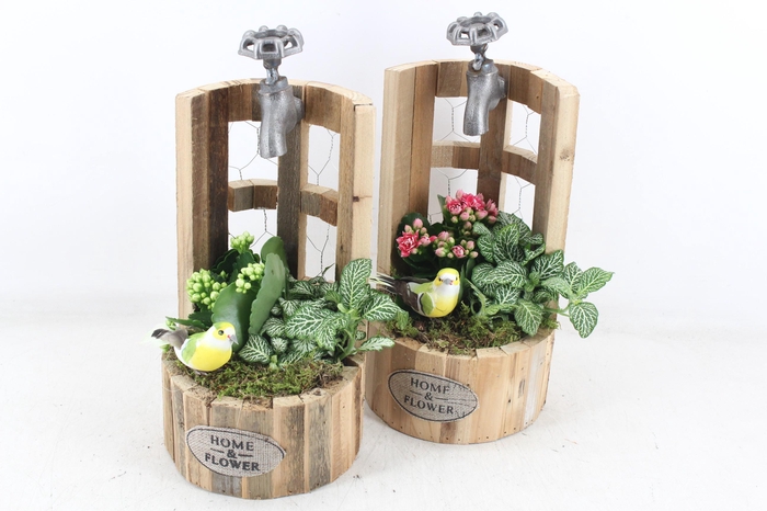 Arr2 Td - Houten Waterput - Roze/wit