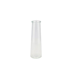 Glass Bottle Clear 8x25cm