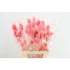 DF Dipsacus Dark Blue Bs 130g