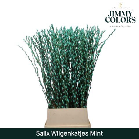 <h4>Salix Katjes L120 Mint Green</h4>