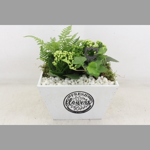 arr2 PL - Hout 4kant pot los Wit