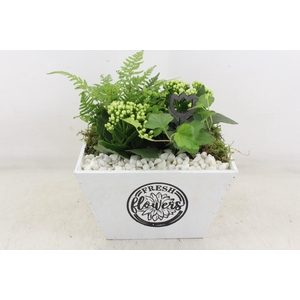 arr2 PL - Hout 4kant pot los Wit