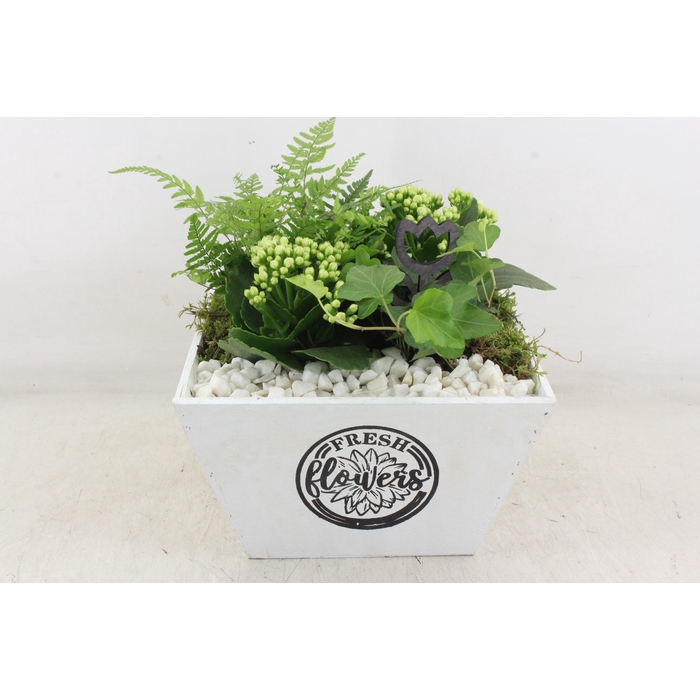 <h4>Arr2 Pl - Hout 4kant Pot Los Wit</h4>