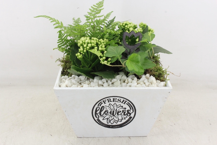 <h4>arr2 PL - Hout 4kant pot los Wit</h4>