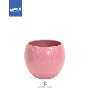 Karma - SOLO POTS - Lisa Pink 12 cm |