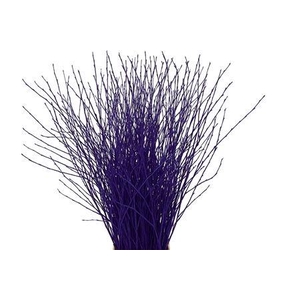 BETULA OV KLB H%