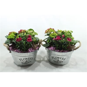 2466 Flowers&garden Hort.