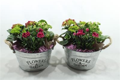 <h4>2466 Flowers&garden Hort.</h4>