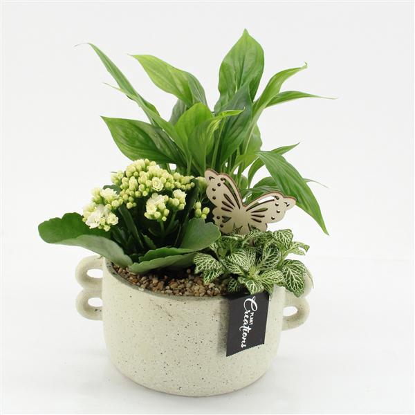 <h4>ESCR-2539W Essentials</h4>