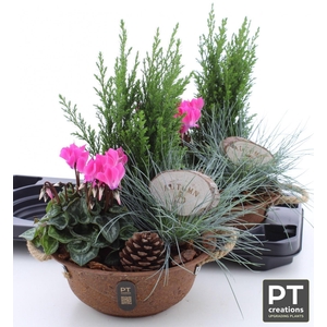 ARR TUINPLANTEN